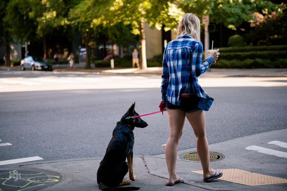 A black dog sitting at a curb beside a person waiting to cross the street.