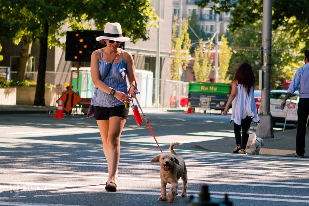 A candid life-story collection centered on dogs and their people.
